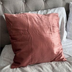 IKEA Pillow with Two Covers